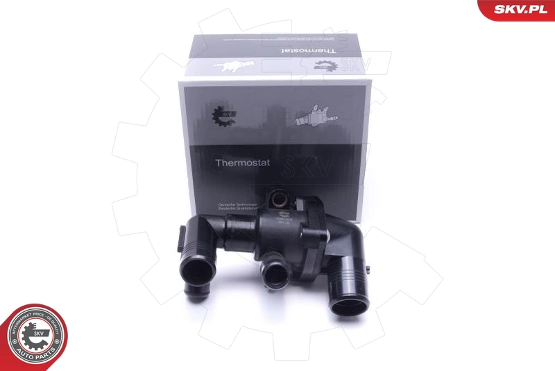 Thermostat, coolant
